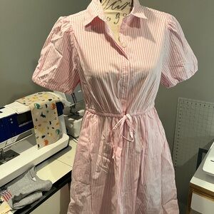 J. Crew Factory Pink Striped Dress